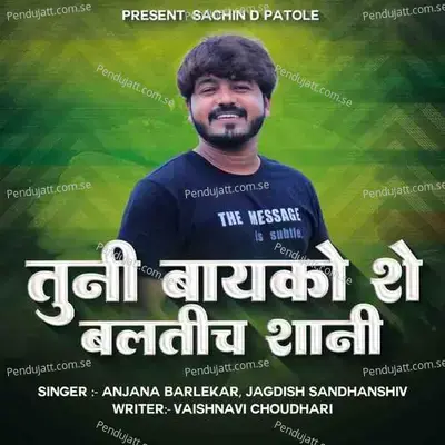 Tuni Bayko She Balatich Shani - Anjana Barlekar album cover 