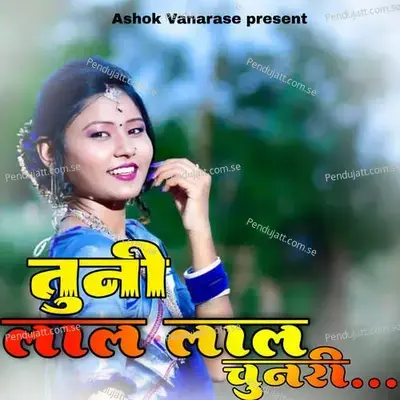 Tuni Lal Lal Chunari - ASHOK VANARASE album cover 