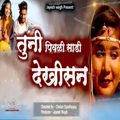 Tuni Pivli Sadi Dekhisan - Bhaiya More album cover 