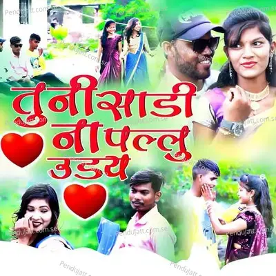 Tuni Sadi Na Pallu Uday - Raju Wagh album cover 