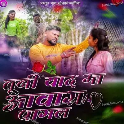 Tuni Yaad Ma Awara Pagal - Anil Kuvar album cover 