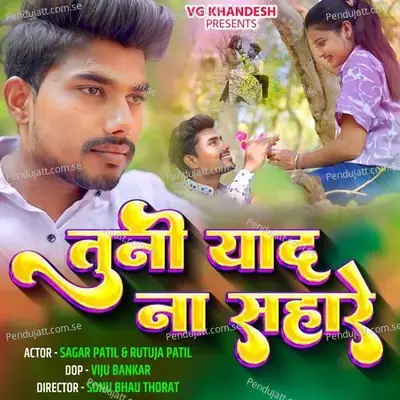 Tuni Yad Na Sahare - Bhaiya More album cover 