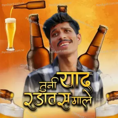 Tuni Yad Radavas Male - Hiralal Wagh album cover 