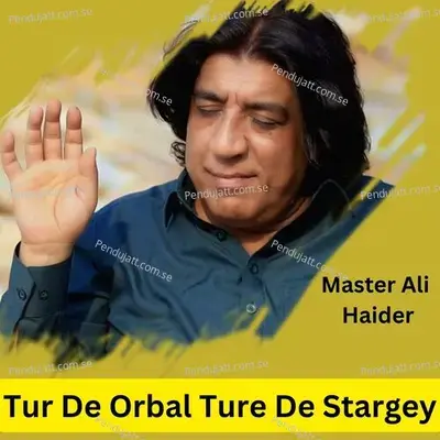 Tur De Orbal Ture De Stargey - Master Ali Haider album cover 