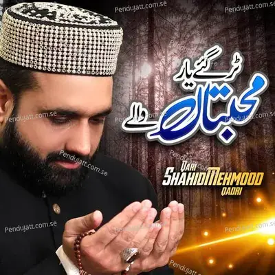 Madni Mahiye - Qari Shahid Mehmood Qadri album cover 