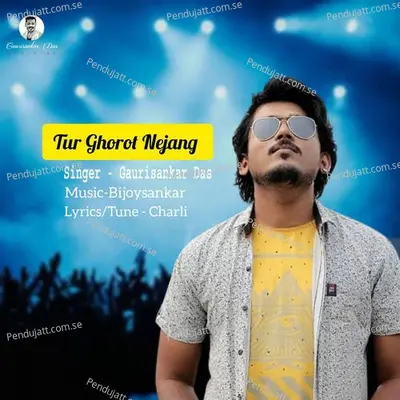 Tur Ghorot Nejang - Gaurisankar Das album cover 