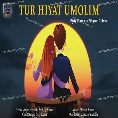 Tur Hiyat Umolim - Bijay Kumar album cover 