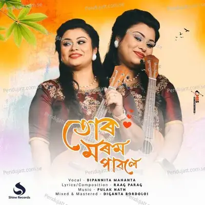 Tur Morom Pabole - Dipannita Mahanta album cover 