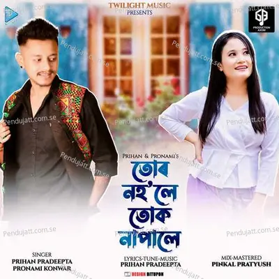 Tur Nohole Tuk Napale - Prihan Pradeepta album cover 