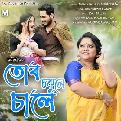 Tur Sokule Sale - Anindita Baruah Sharma album cover 