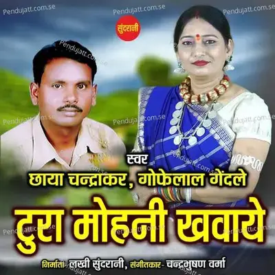 Tura Mohani Khawaye - Chhaya Chandrakar album cover 