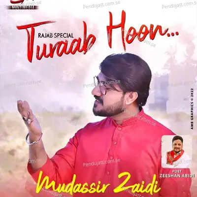 Turab Hoon - Mudassir Zaidi album cover 