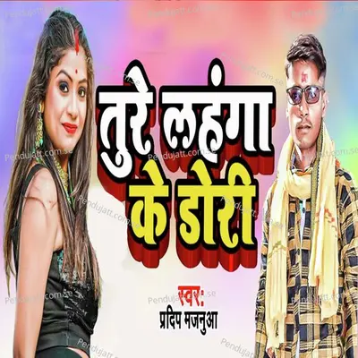 Ture Lahanga Ke Dori - Pradip Majanuaa album cover 