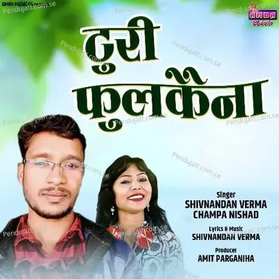 Turi Fulkaina - Shivnandan Verma album cover 