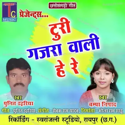 Turi Gajra Wali He Re - Punit Dahariya album cover 