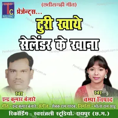 Turi Khaye Selendar Ke Khana - Indra Kumar Banjare album cover 