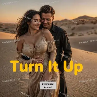 Turn It Up - Shakeel Ahmed album cover 