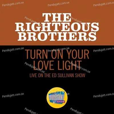 Turn On Your Love Light - The Righteous Brothers album cover 