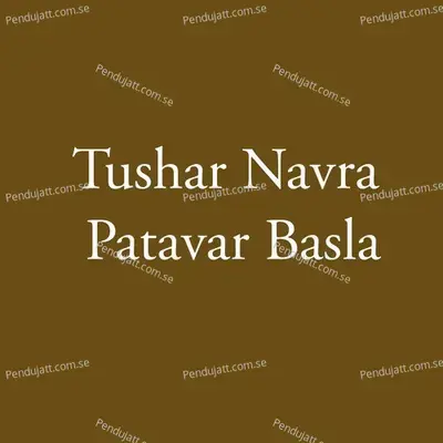 Tushar Navra Patavar Basla - Parmesh Mali album cover 