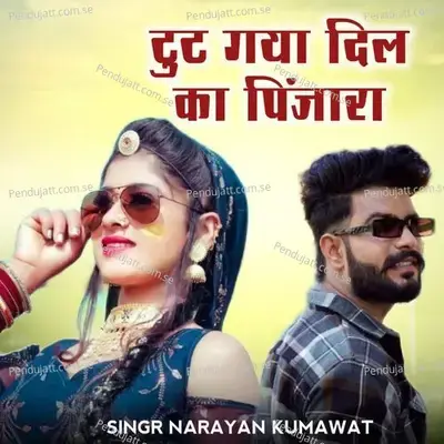 Tut Gya Dil Ka Pinjra - Narayan Kumawat album cover 