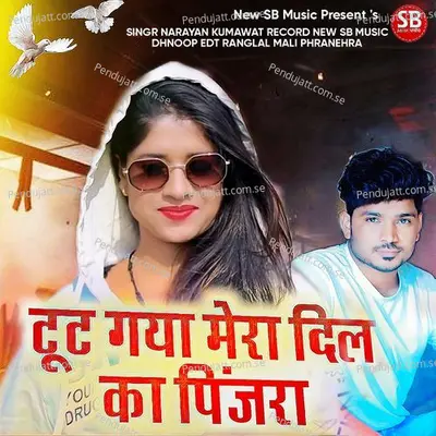 Tut Gya Mera Dil Ka Pinjra - Narayan Kumawat album cover 