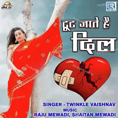 Tut Jate Hai Dil - Twinkal Vaishnav album cover 