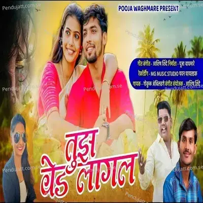Tuz Ved Lagal - Gokul Ambildhage album cover 