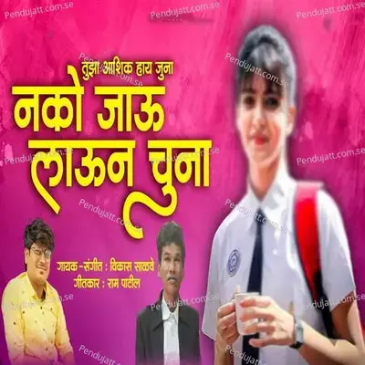 Tuza Aashik Hay Juna Nako Jau Laun - Vikas Salve album cover 