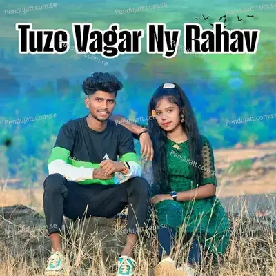 Tuze Vagar Ny Rahav - Sandip Davare album cover 