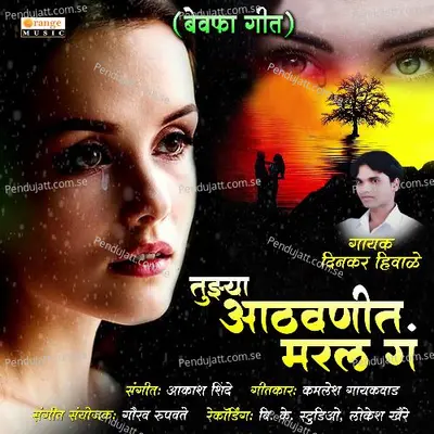 Tuzya Athvanit Maral Ga - Dinkar Hiwale album cover 