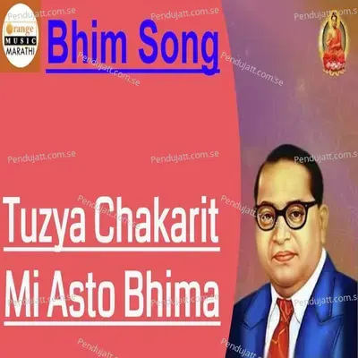 Tuzya Chakarit Mi Asto Bhima - Vijayraj Nikam album cover 