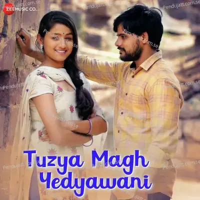 Tuzya Magh Yedyawani - Adarsh Shinde album cover 