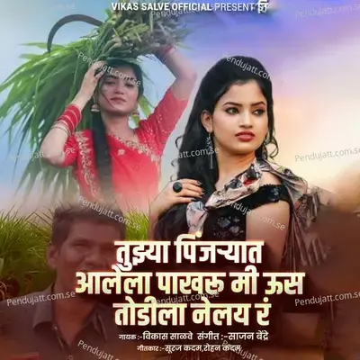 Tuzya Pinjaryat Aalel Pakharu Mi Ustodila Nelay R - Vikas Salve album cover 