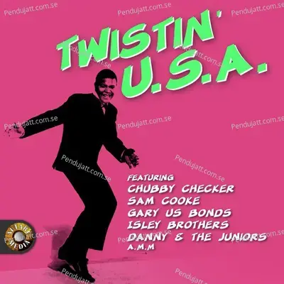 Twistin  039  In The Usa - The Shirelles album cover 