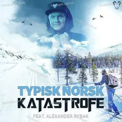 Typisk Norsk - Katastrofe album cover 