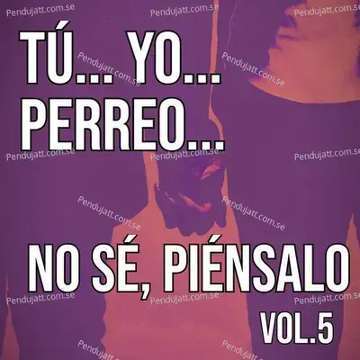Tú... Yo... Perreo... No Sé, Piénsalo Vol. 5 - Various Artists cover album