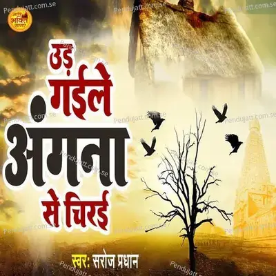 Ud Gaile Angana Se Chirai - Saroj Pradhan album cover 