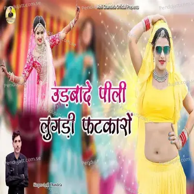 Udbade Pili Lungdi Fatkaro - Anil Chandela album cover 
