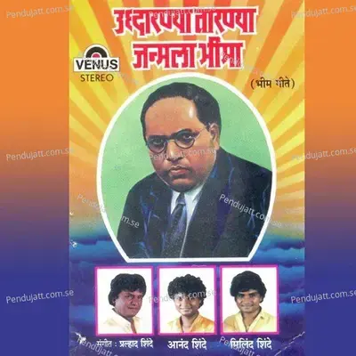 Yug Purusha - Prahlad Shinde album cover 