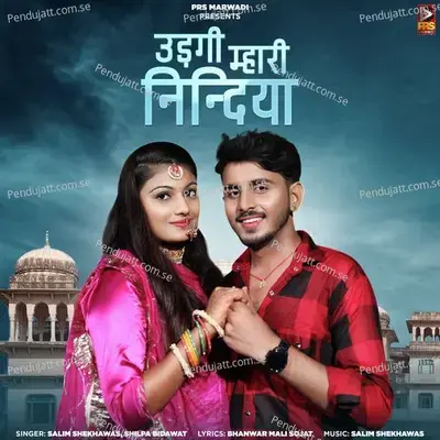 Udgi Mhari Nindiya - Salim Shekhawas