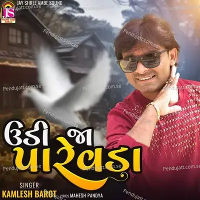 Udi Ja Parevada - Jayesh Patel