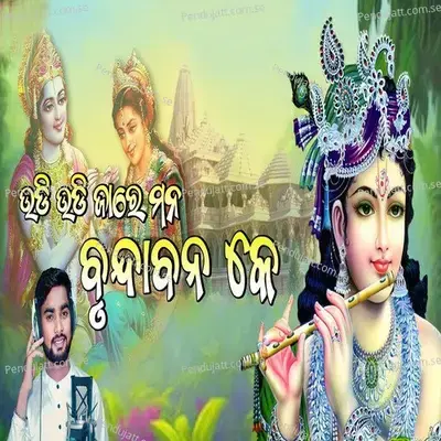 Udi Udi Jare Mana Brundabana Ke - Mukesh Sahu album cover 