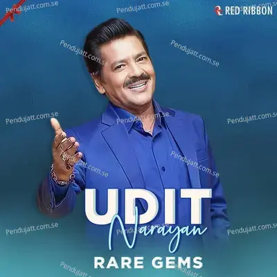 Rakhi Ka Bandhan Hai - Udit Narayan album cover 