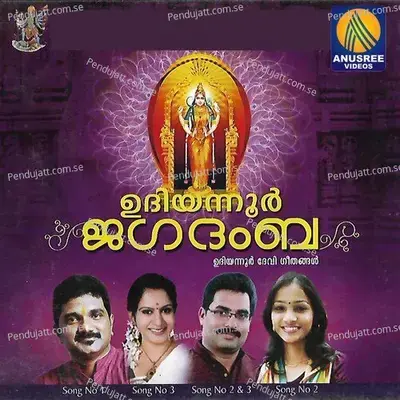 Ulsavam - Sanal Vishnu album cover 