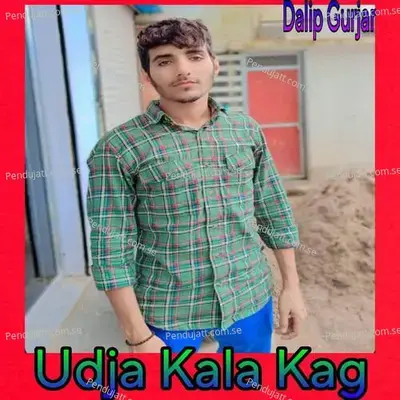 Udja Kala Kag - Dalip Gurjar album cover 