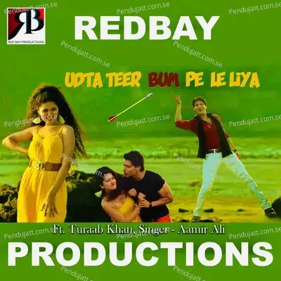 Udta Teer Bum Pe Le Liya - Aamir Ali album cover 