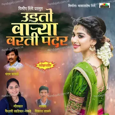 Udto Warya Varti Padar - Vikas Salve album cover 