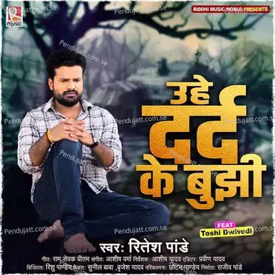 Uhe Dard Ke Bujhi - Ritesh Pandey album cover 