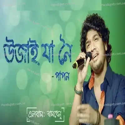 Ujai Ja Noi - Papon album cover 