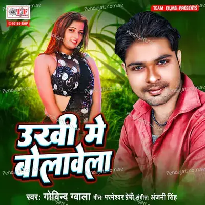 Ukhi Mein Bolavela - Govind Gwala album cover 